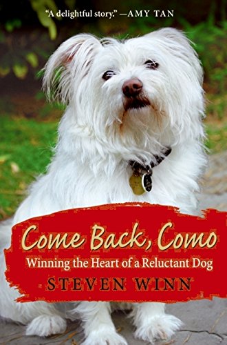 Come Back, Como: How to Win the Heart of a Reluctant Dog - Training Tips & Bonding Techniques for Anxious Pets