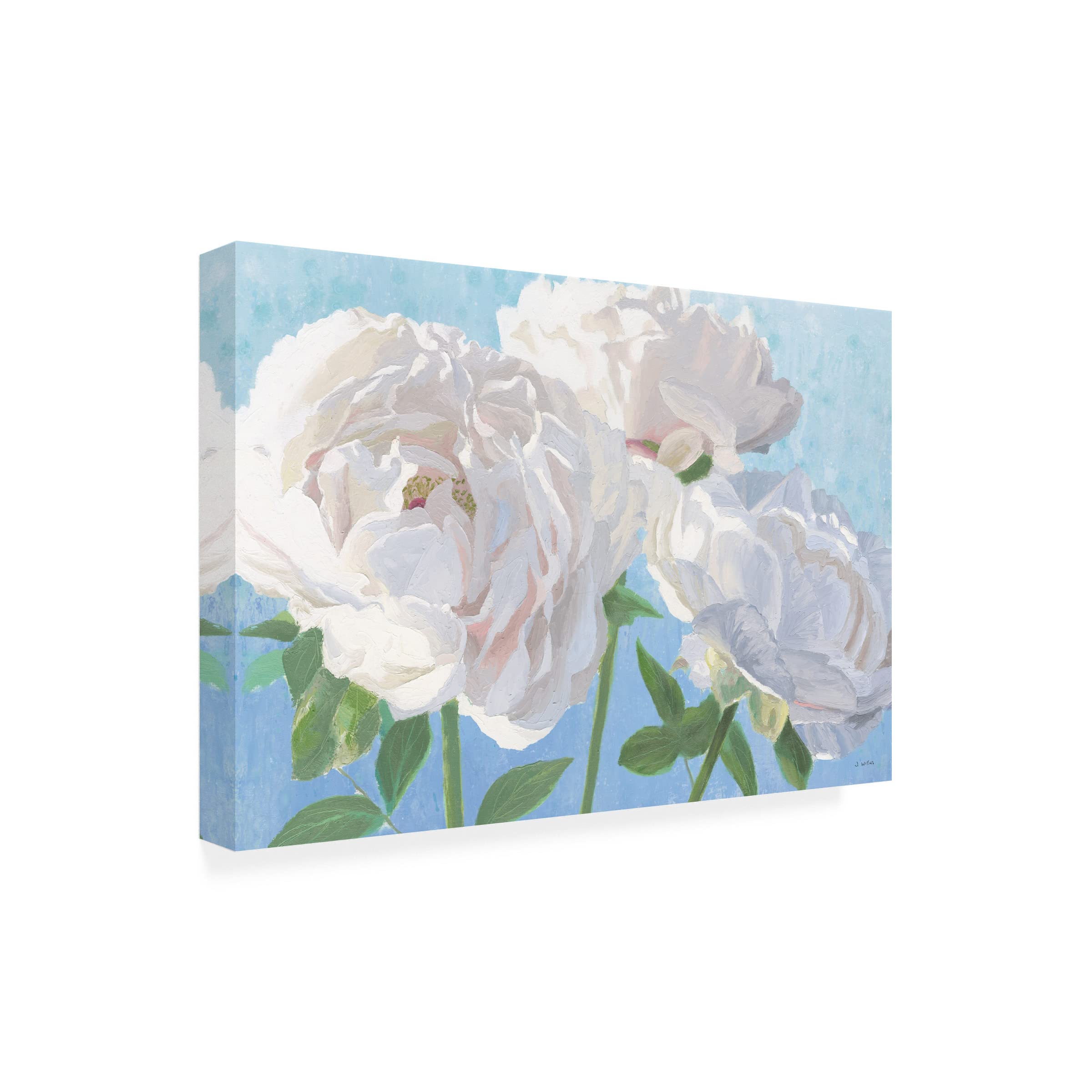 James Wiens 'Essence of June I' Canvas Wall Art Print - Modern Botanical Floral Painting for Living Room, Bedroom & Office Decor | Trademark Fine Art Collection