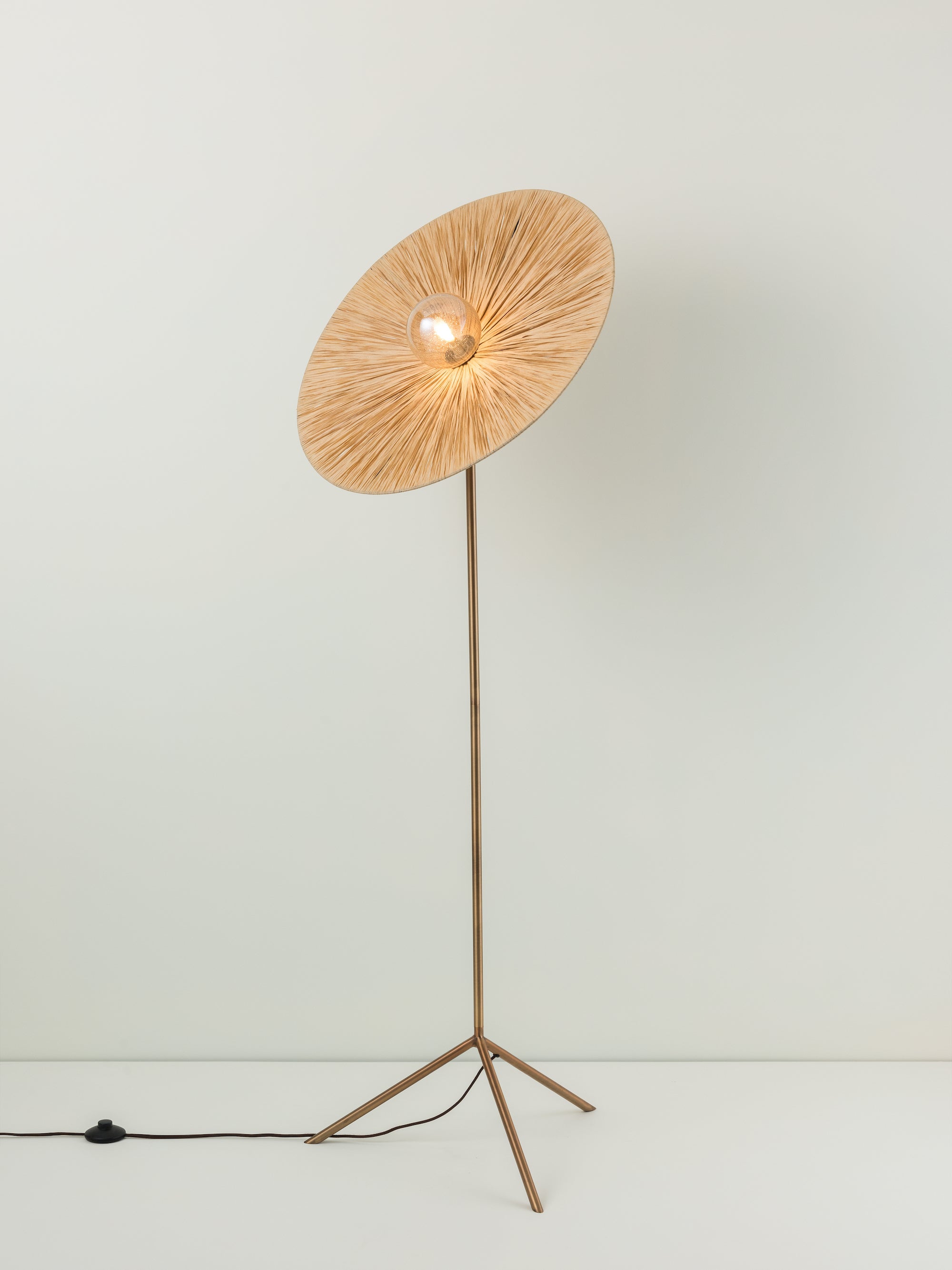 Ridotti Natural Raffia and Burnished Brass Floor Lamp - 1 Light Modern Floor Lamp for Living Room, Bedroom, or Office Decor
