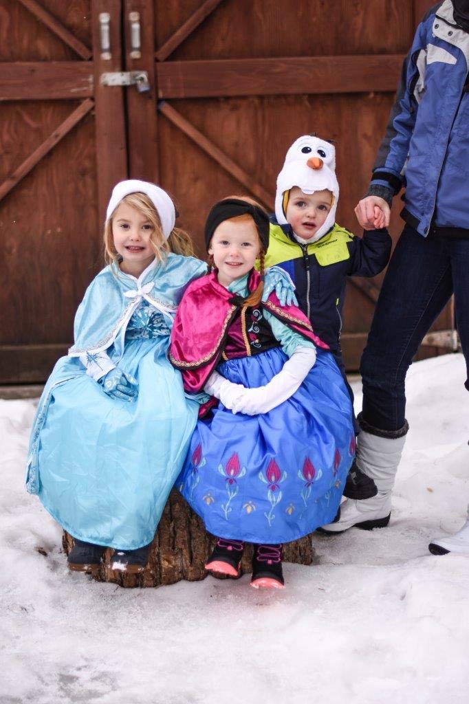 Little Adventures Ice Princess Dress Up Costume for Girls - Machine Washable Pretend Play & Party Outfit (No Glitter) - Perfect for Birthday Parties, Halloween & Dress-Up Play