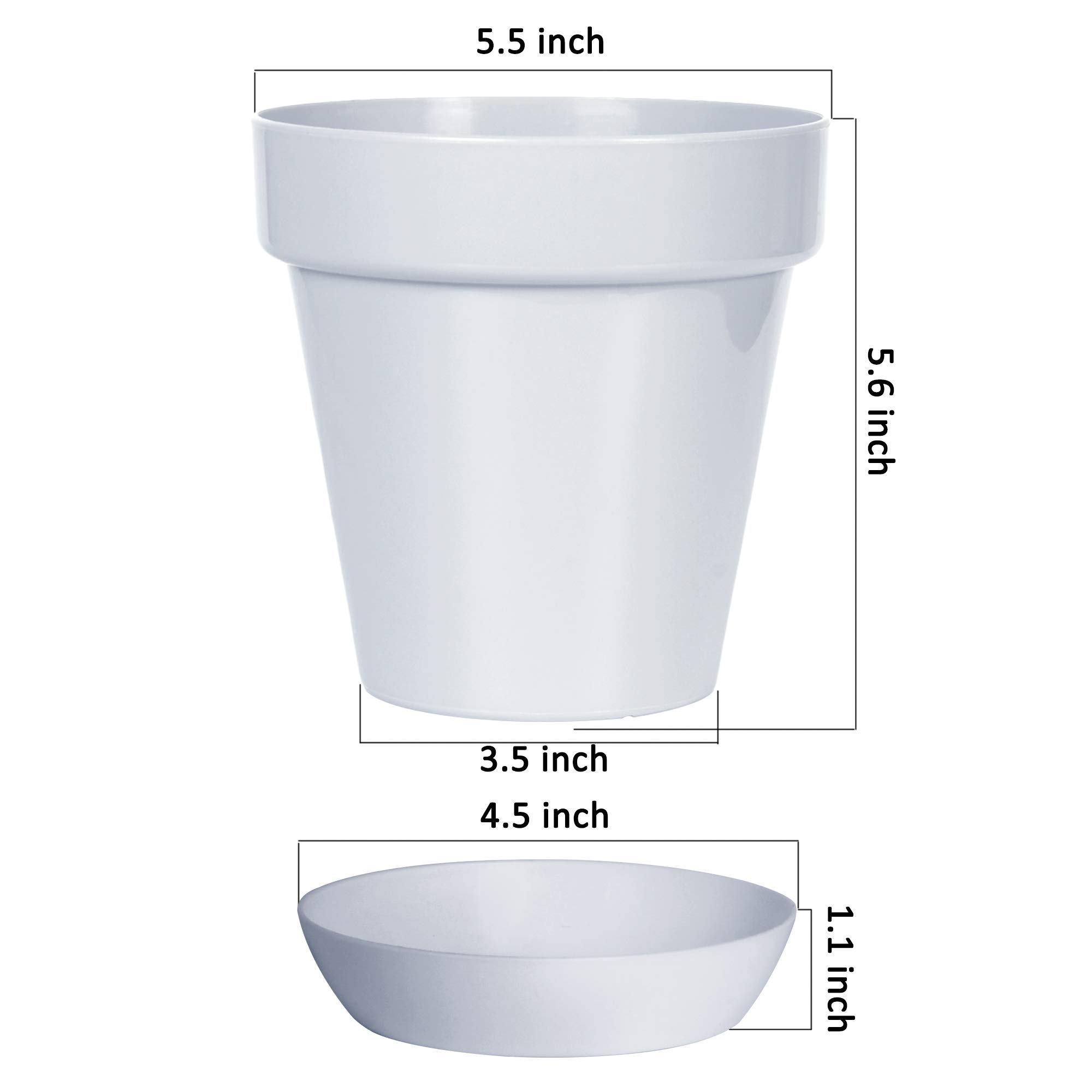 Youngever 8 Pack 5.5 Inch Plastic Plant Pots with Drainage Holes and Saucers - Indoor Flower Planters for Home Decor, Gardening, Office Desk, Balcony & Patio (Grey)