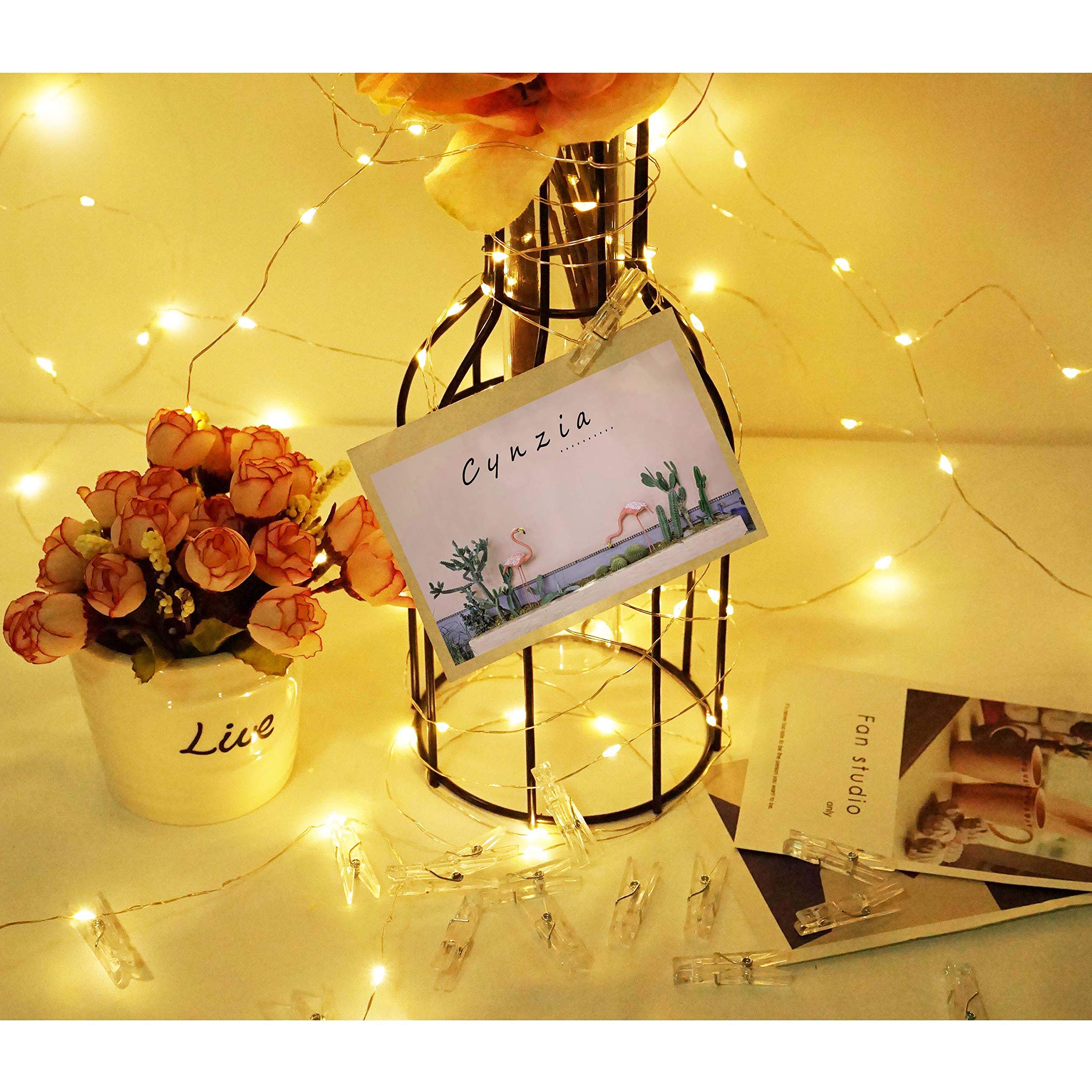 100 LED USB Fairy String Lights with 50 Clear Clips & Remote - Silver Wire Photo Display Lights for Wall Decor, Wedding, Christmas Party | Perfect for Bedroom, Living Room, Nursery & Outdoor Decorations