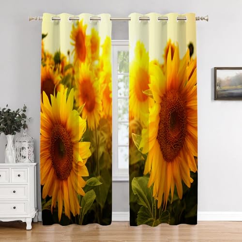 Summer Flower Sunflower 1 Orange