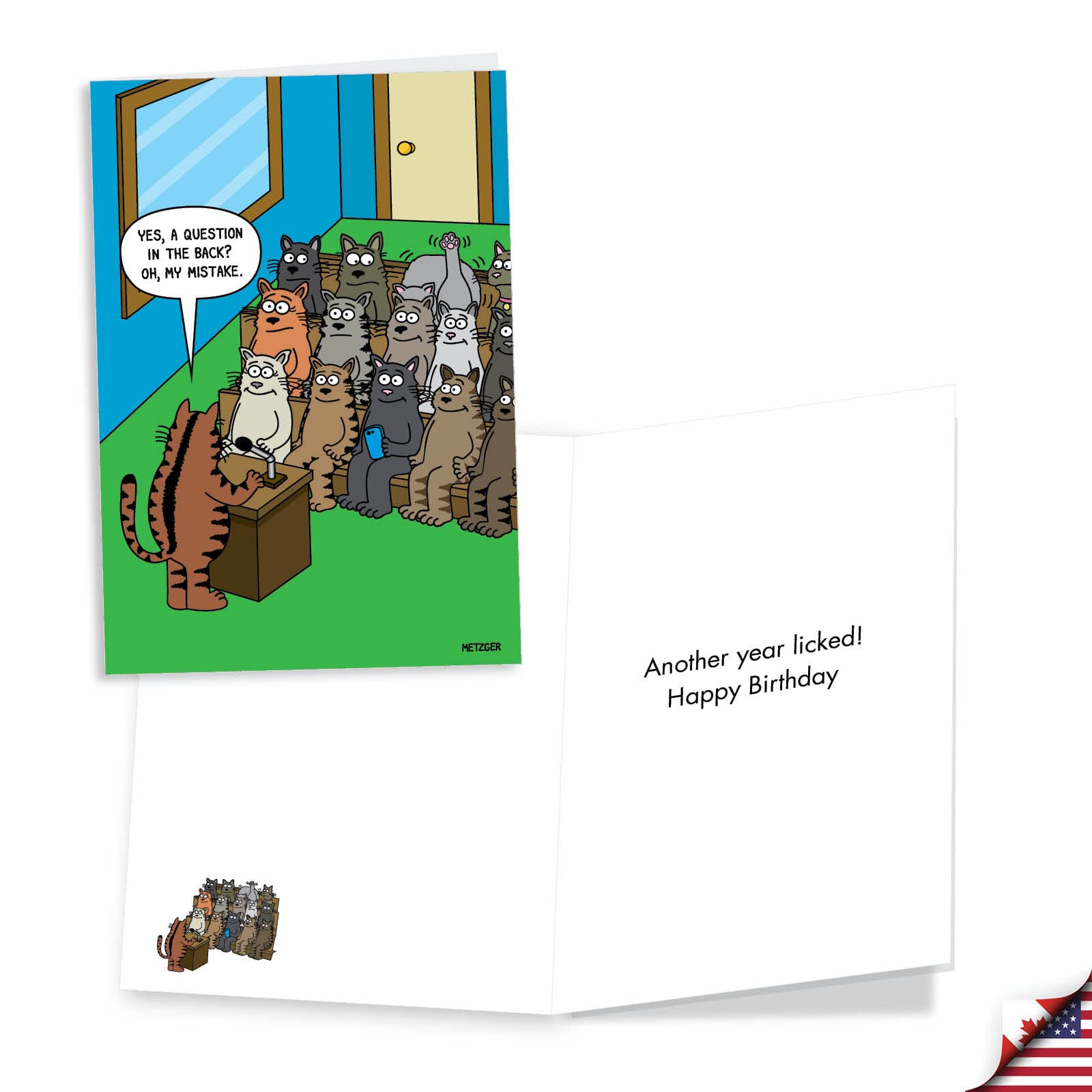 NobleWorks 3-Pack Funny Cat Birthday Greeting Cards with Envelopes - 3 Unique Cat Humor Designs (VC2805BDG-C1x3) | Perfect for Cat Lovers' Birthday Wishes & Special Occasions
