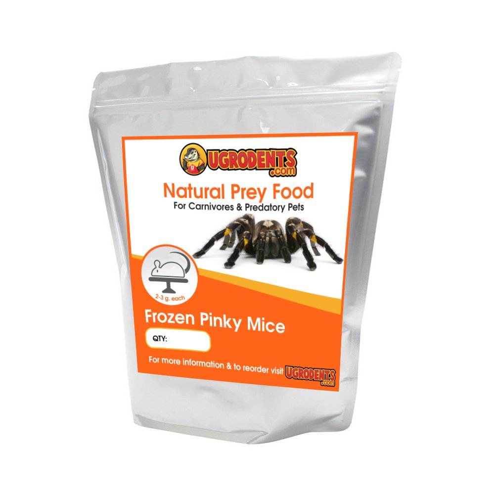 UGRodents 10-Pack Frozen Pinky Mice for Reptile Food - High Protein Snake & Lizard Feed - Perfect for Ball Pythons, Corn Snakes & Bearded Dragons