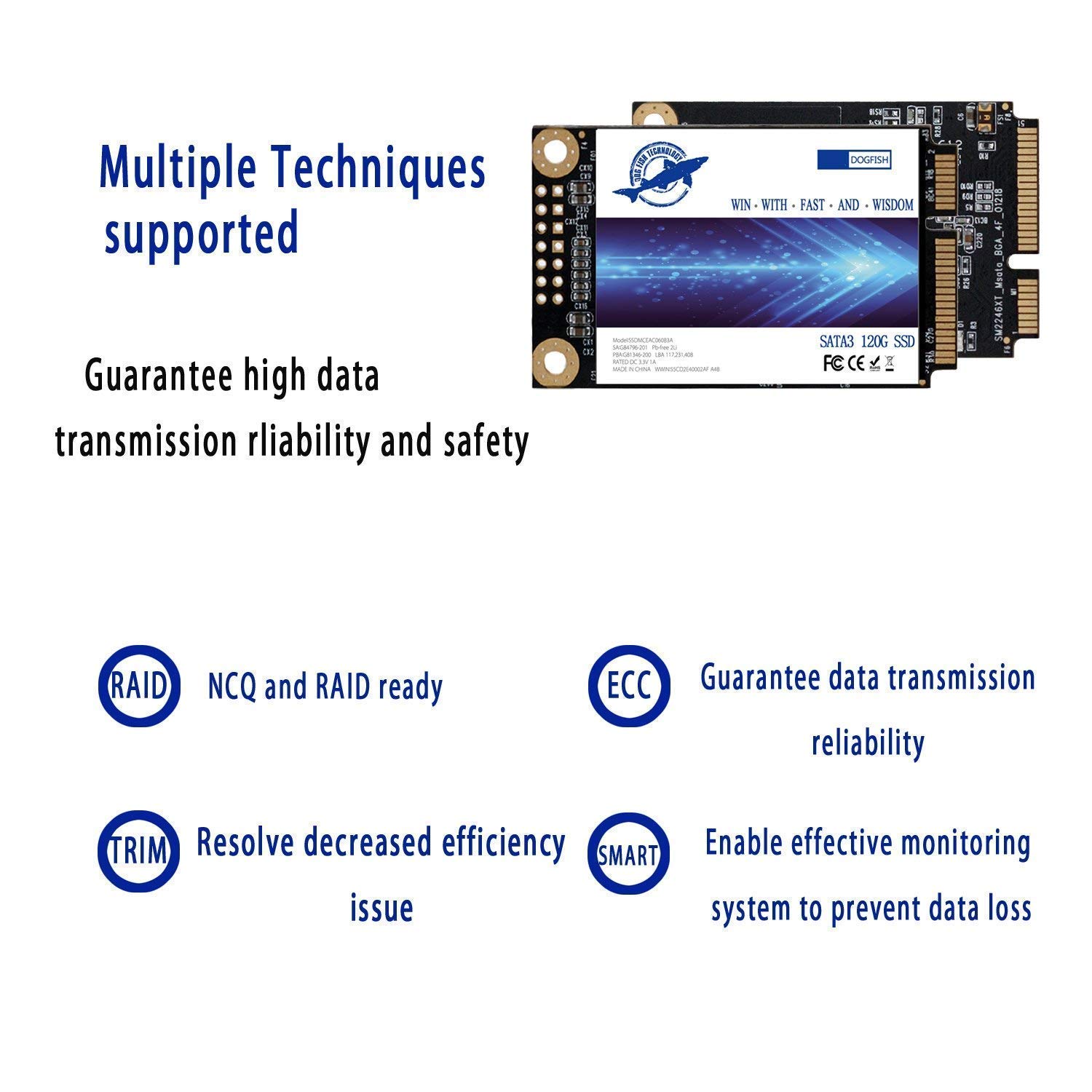 Dogfish 2TB mSATA SSD - High-Speed Internal Mini SATA Solid State Drive for Laptop & Desktop Computers | Fast Boot & Gaming Storage | Ideal for Upgrading Old PCs, Gaming Rigs & Workstations