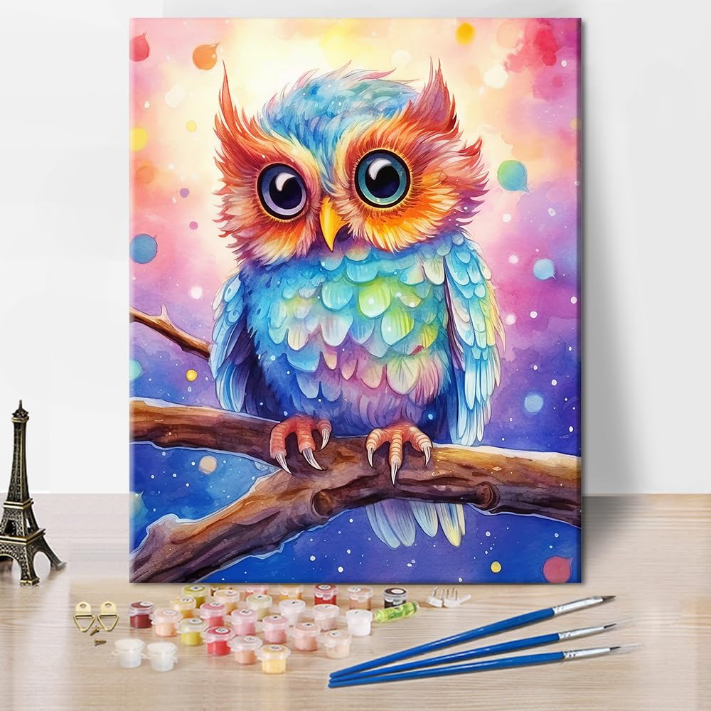 TUMOVO DIY Paint by Numbers Kit for Adults & Kids - Colorful Owl & Bird Acrylic Painting Set, 16