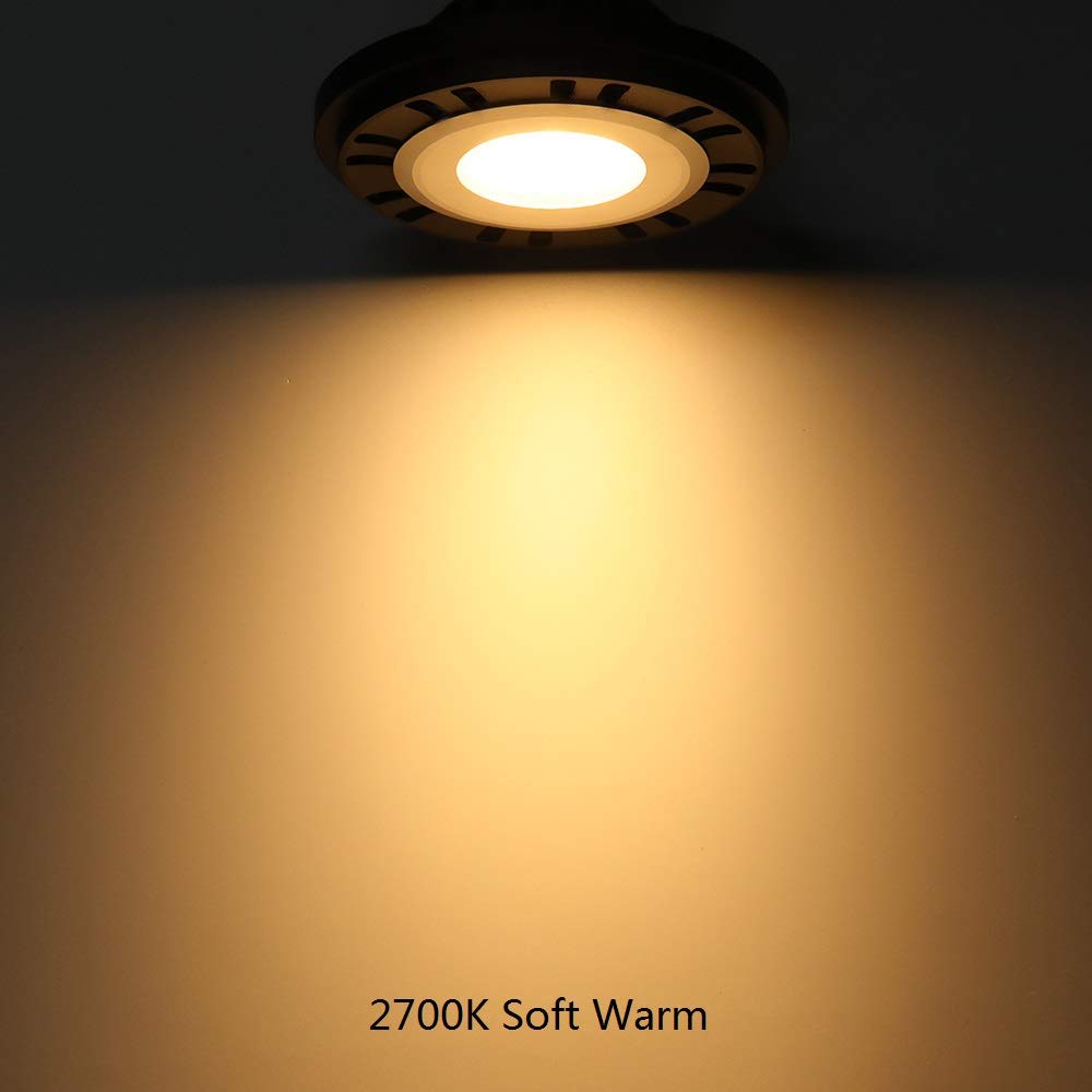 Arrownine PAR36 LED Landscape Bulb - 10W Dimmable Warm White 2700K, IP67 Waterproof for Outdoor Lighting (9-17V AC/DC) - Perfect for Well Lights, Tree Uplighting, Flag Pole Illumination & Landscape Accent Lighting