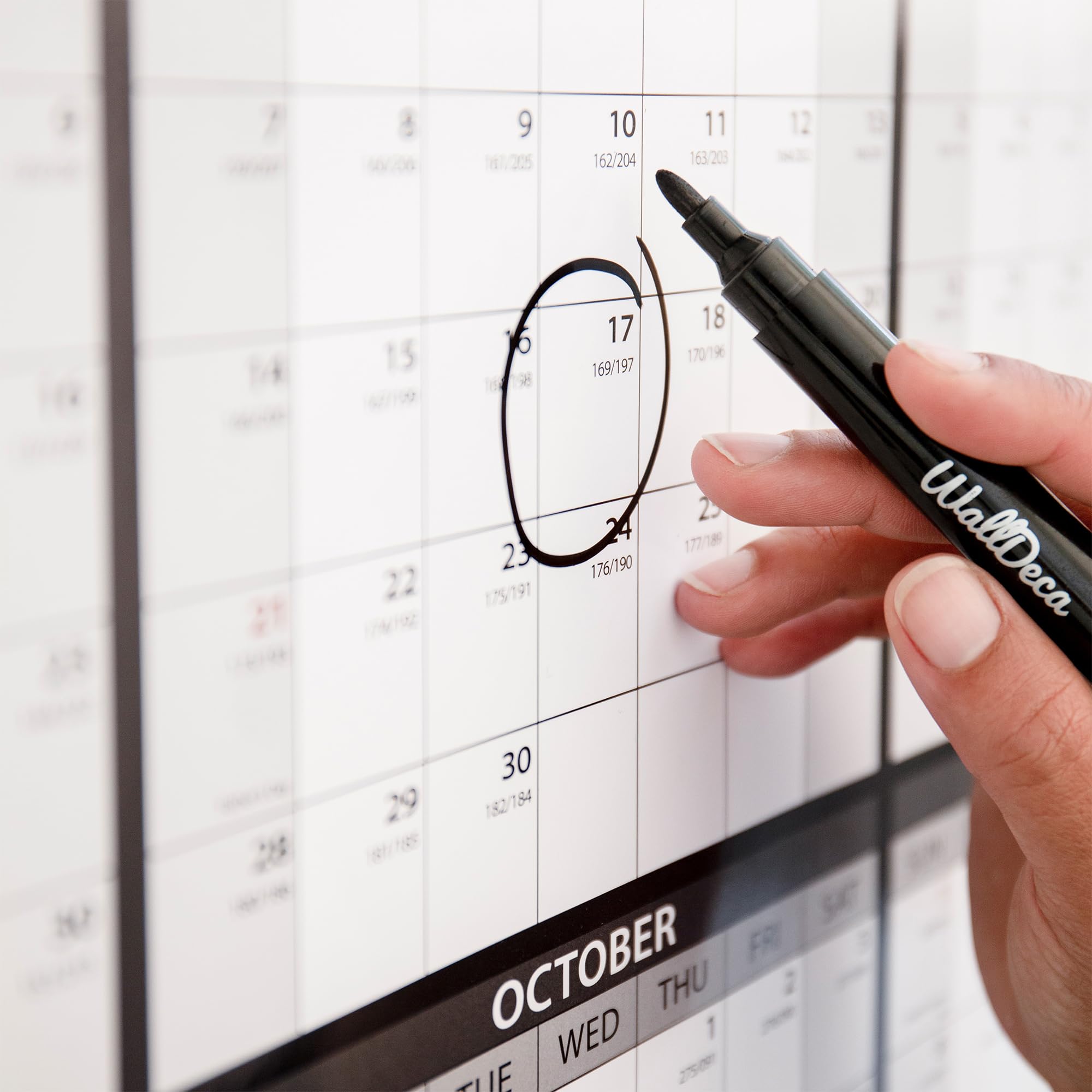 2025 Dry Erase Wall Calendar - 24