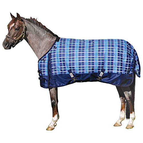 Blue Plaid