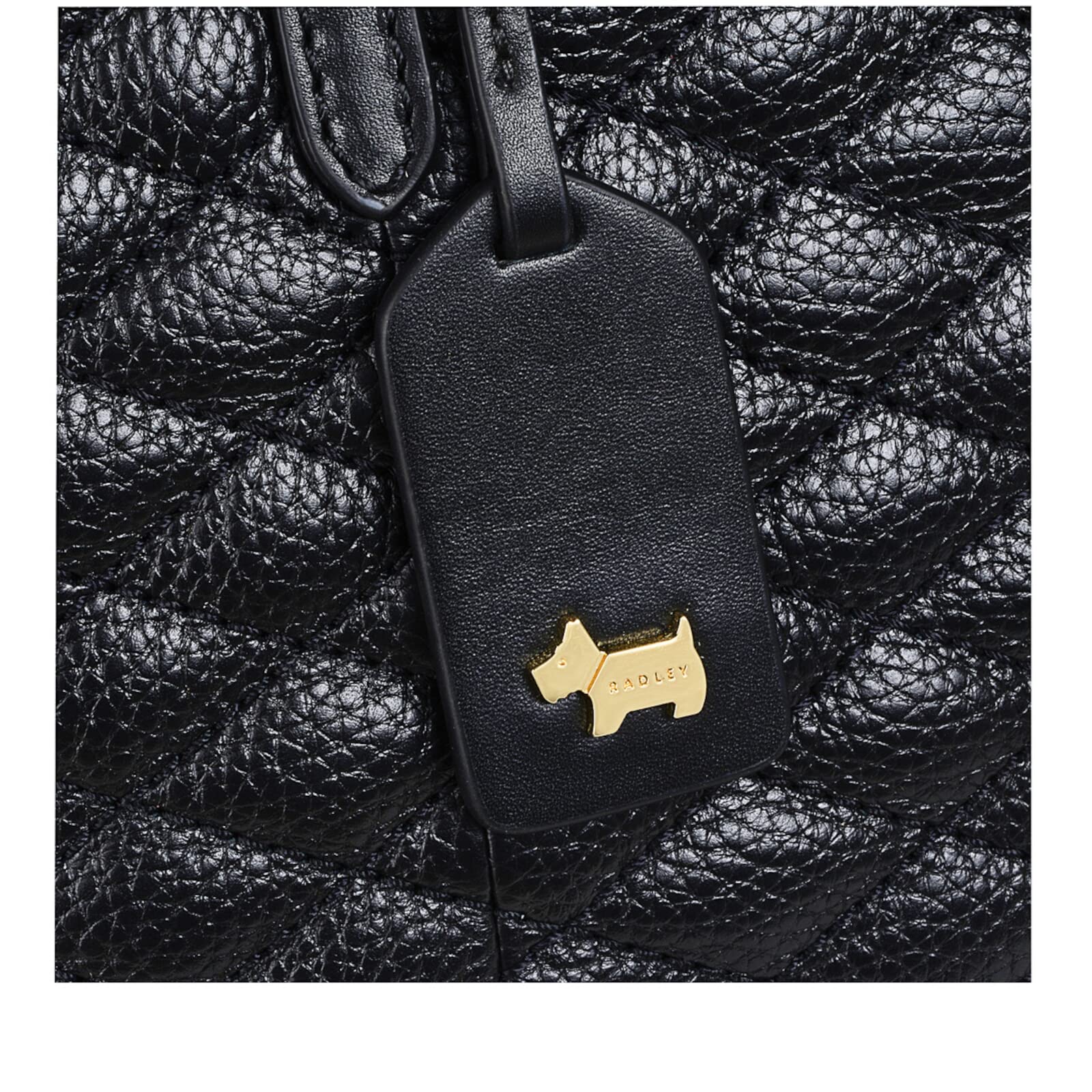 RADLEY London Angel Street Medium Leather Zip-Top Tote Handbag for Women - Stylish Work Bag, Travel & Everyday Purse with Secure Zipper Closure