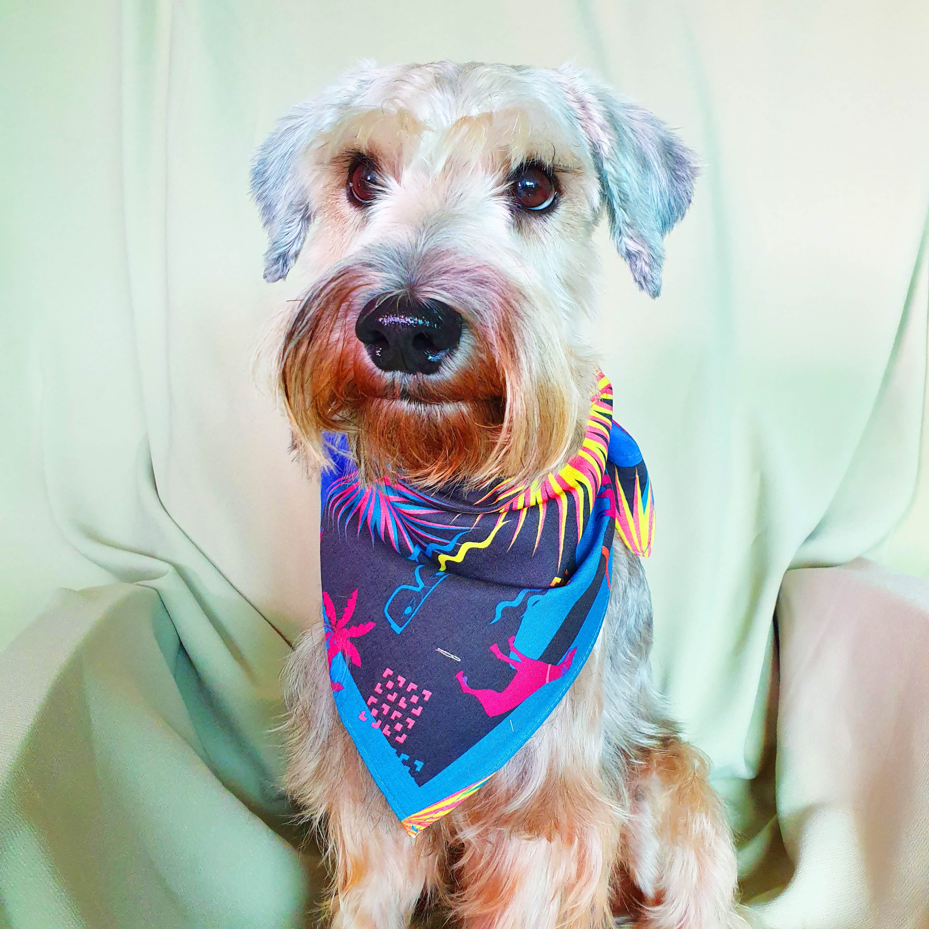Binary Style x Daniel Boey Dog Bandana for Small & Medium Dogs - Singapore Rescues Collection | Stylish Pet Accessory for Walks, Photos & Special Occasions