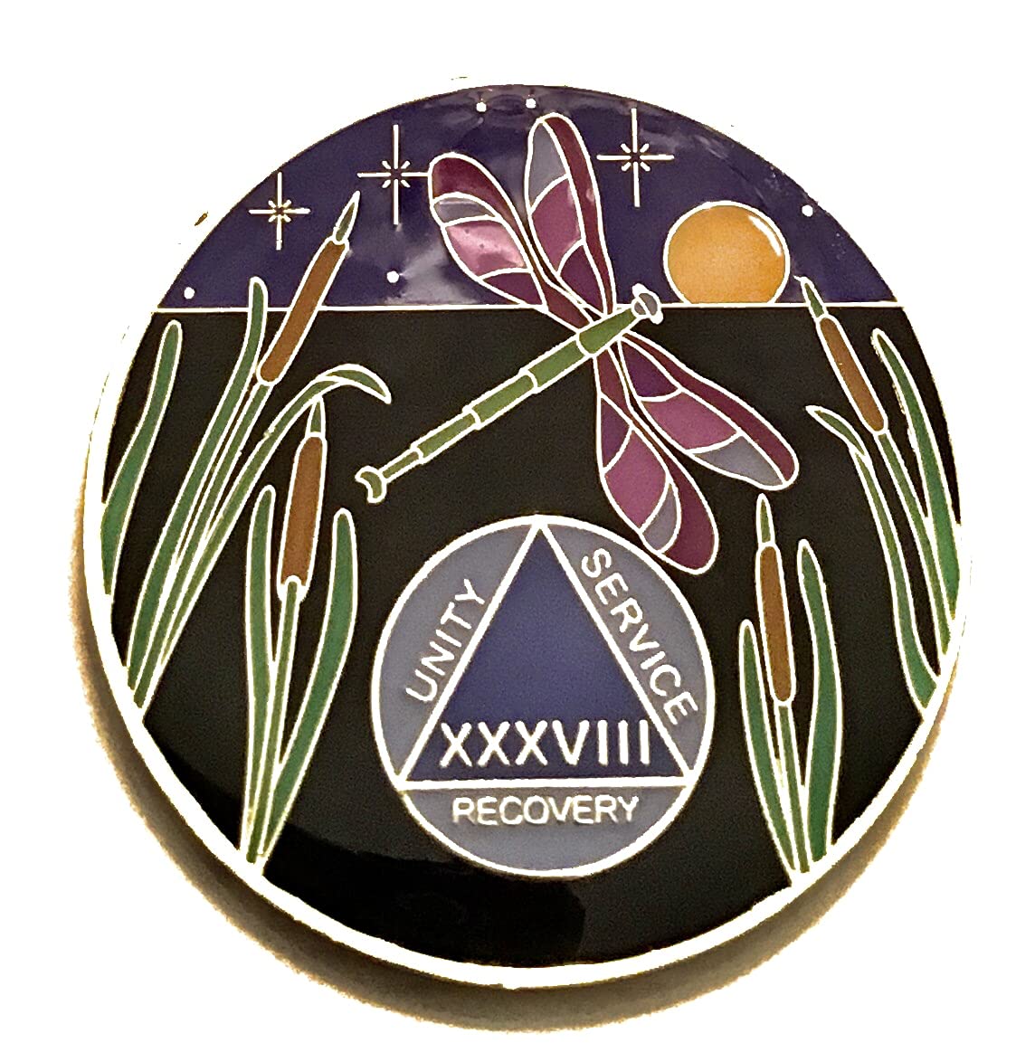 38 Year AA Medallion - Dragonfly Promises Alcoholics Anonymous Sobriety Chip, Token & Coin for Recovery Milestones & Celebrations