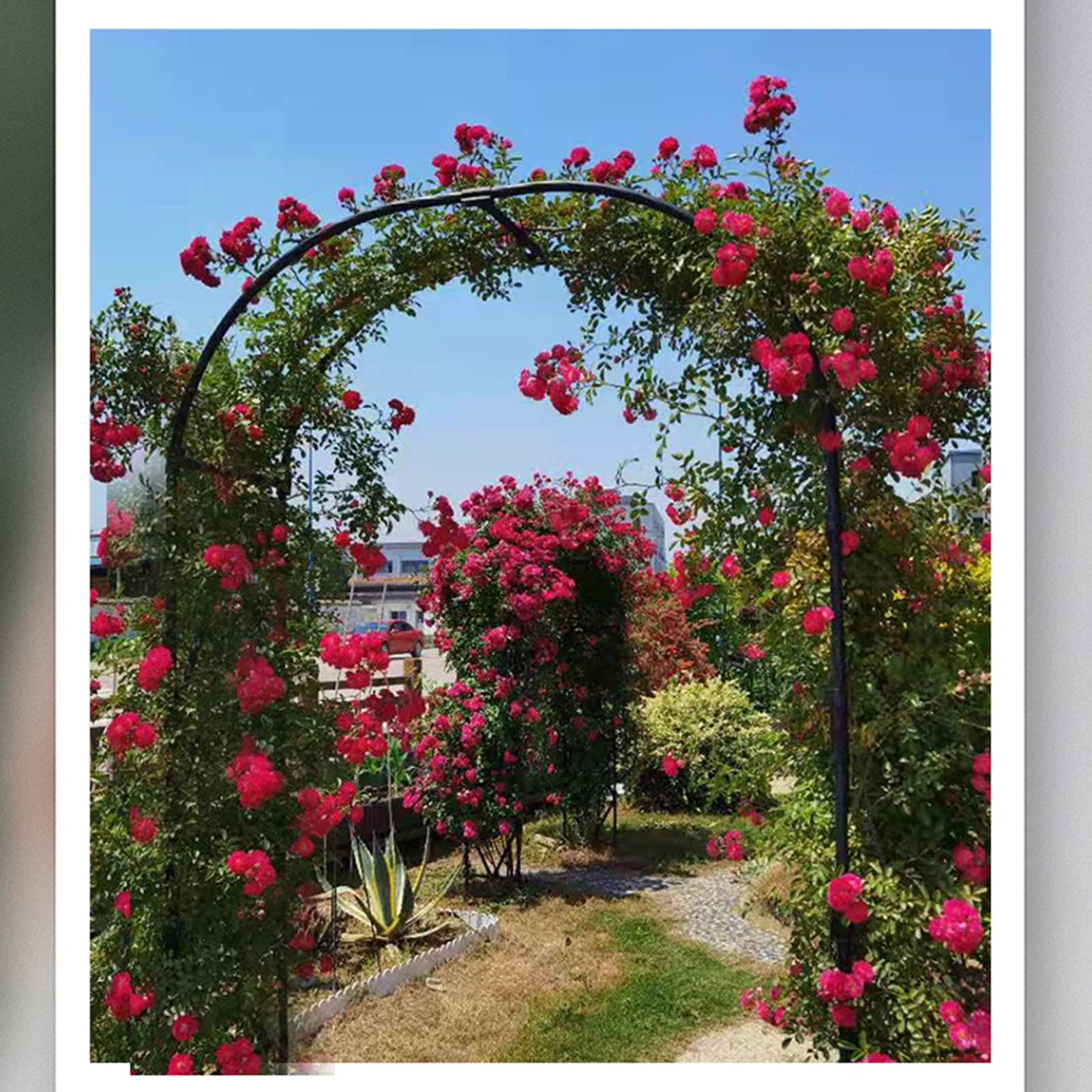 Black Round Top Garden Arch - 9.8x7.9FT Metal Wedding Arbor for Climbing Plants, Vines & Flowers | Outdoor Patio Decor, Bridal Party Backdrop & Garden Trellis | Perfect for Weddings, Vine Support & Backyard Landscaping