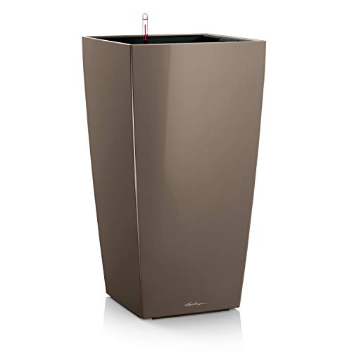 Shiny Taupe