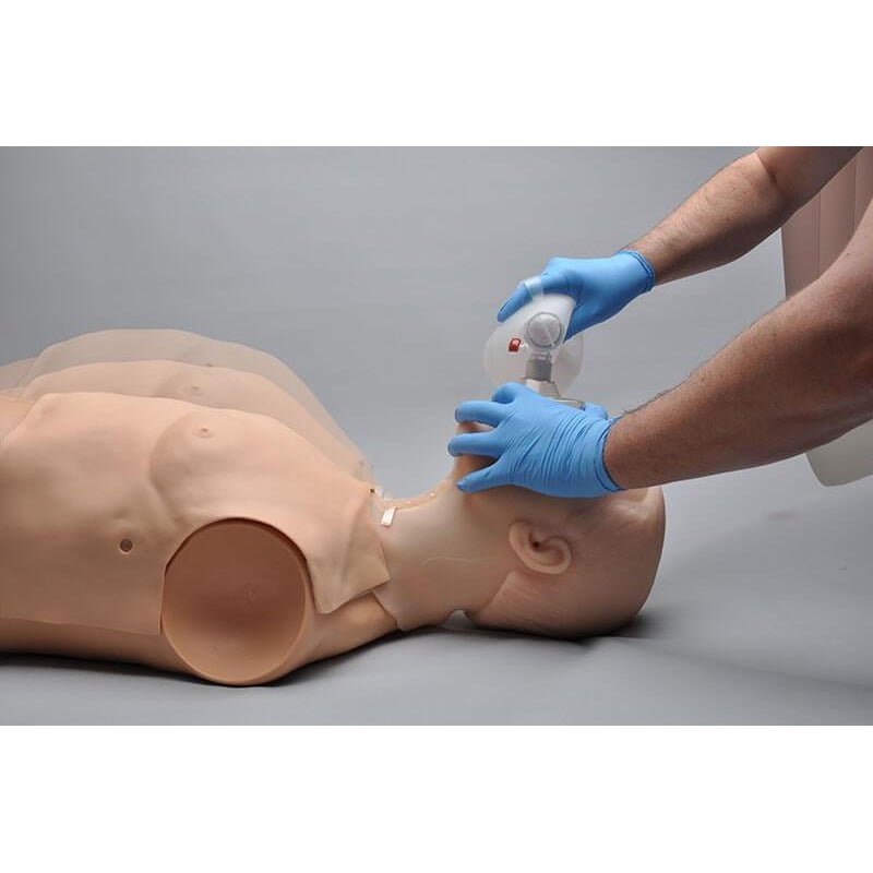 HAL® Adult Multipurpose Airway and CPR Training Manikin - Realistic Medical Simulation for First Aid, Emergency Response & CPR Certification Classes - Perfect for Healthcare Professionals, EMTs & First Responders