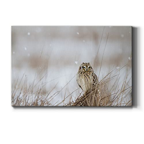 Prairie Winter