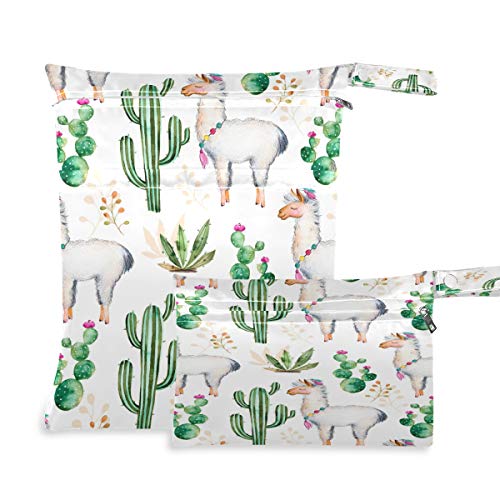 Cactus Llama