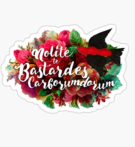 2-3 Inch Motivational Stickers Pack - 'Don't Let The Bastards Grind You Down' Quote - Scrapbook & Phone Case Decals - Perfect for DIY Crafts, Journals, Laptops & Water Bottles