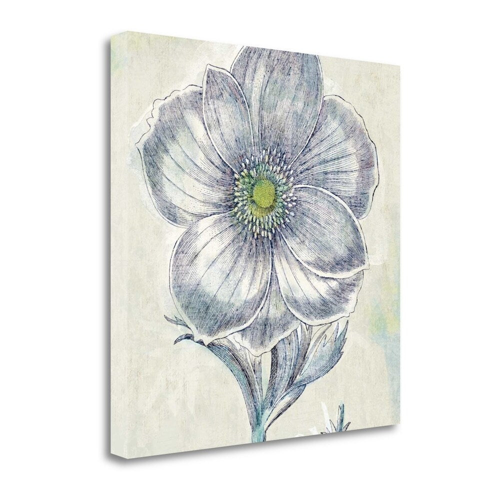 Belle Fleur II By Sue Schlabach - Premium Fine Art Giclee Print on Gallery Wrapped Canvas - Ready to Hang Wall Decor - Perfect for Living Room, Bedroom & Office Decor