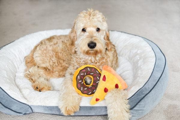Squeaky Chocolate Plush Donut Dog Toy - Interactive Chew Toy for Small & Large Dogs - Fun Squeaker Sound for Playtime & Training - Perfect for Fetch, Cuddles & Teething Puppies