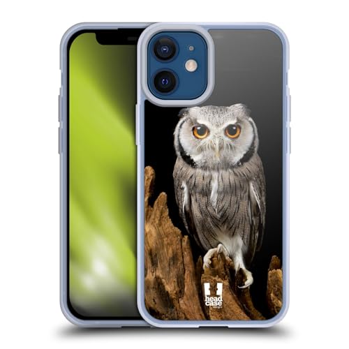 White-Faced Owl