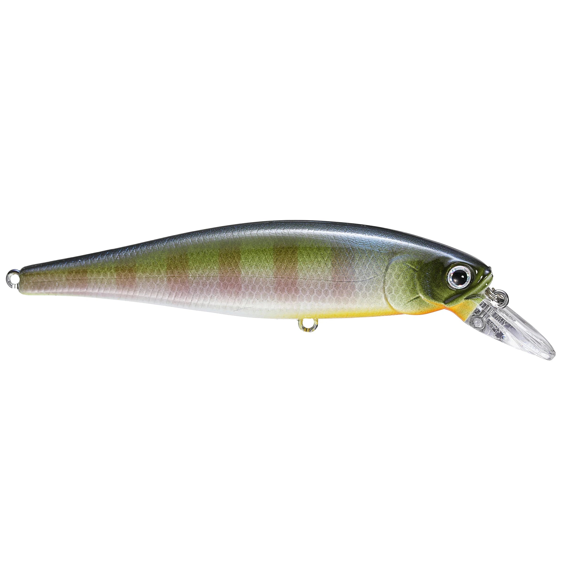 Chartreuse Shad