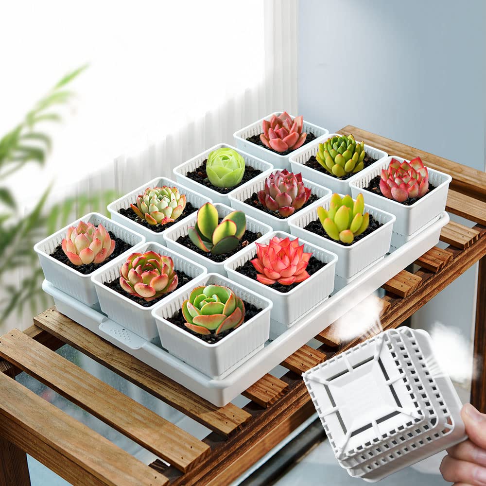 12Pcs 2.8 Inch Succulent Pots with Drainage Holes & 14x9.4 Inch Tray - Plastic Square Planters for Cactus, Seedlings, Herbs - Perfect for Indoor Gardening, Windowsill Decor, Office Desk Plants