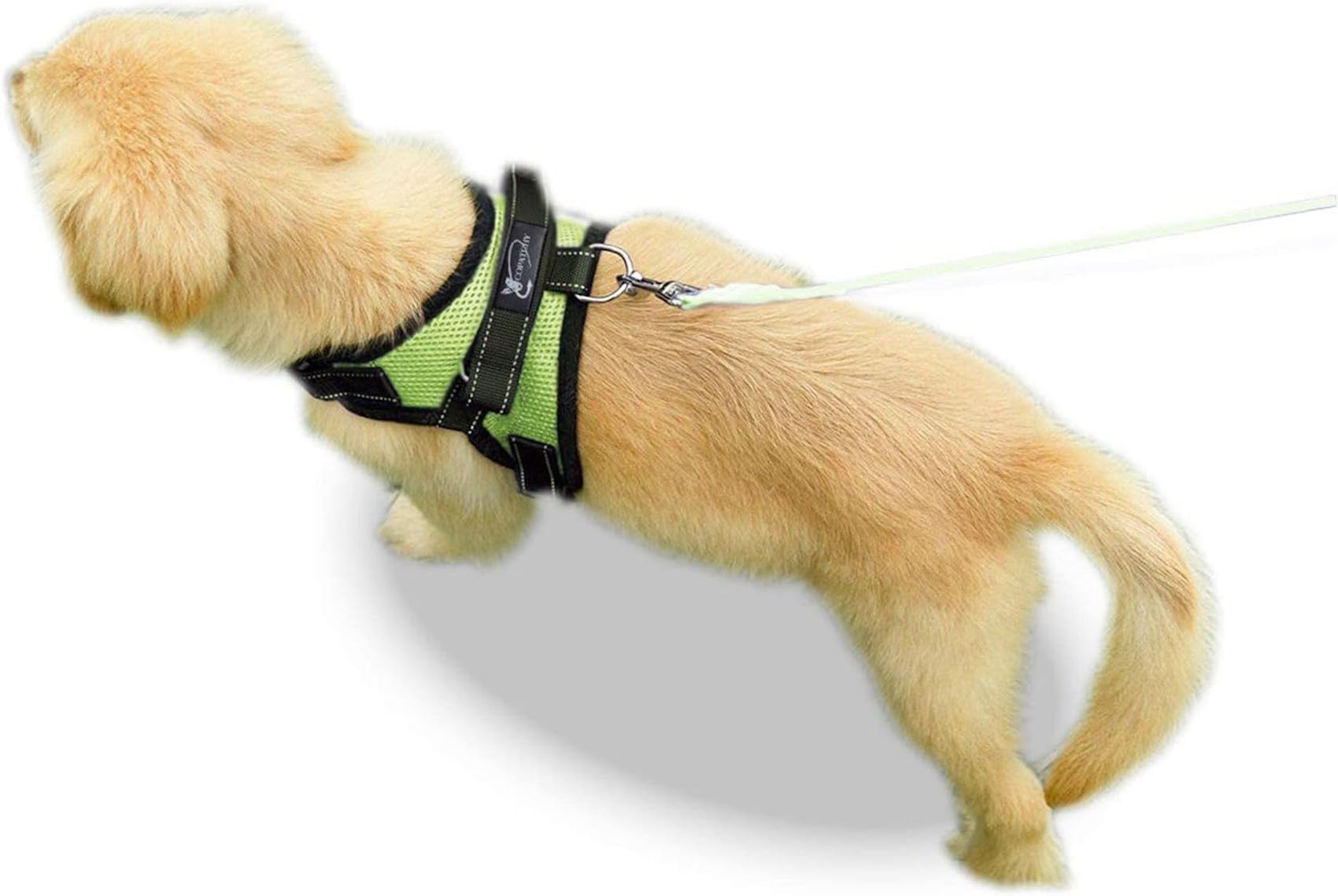 No Pull Reflective Adjustable Dog Harness with Handle - Comfortable Soft All-Weather Mesh Vest for Small Medium Large Dogs - Easy On Puppy Harness for Walking Running Hiking Training (Green, XX-Small)