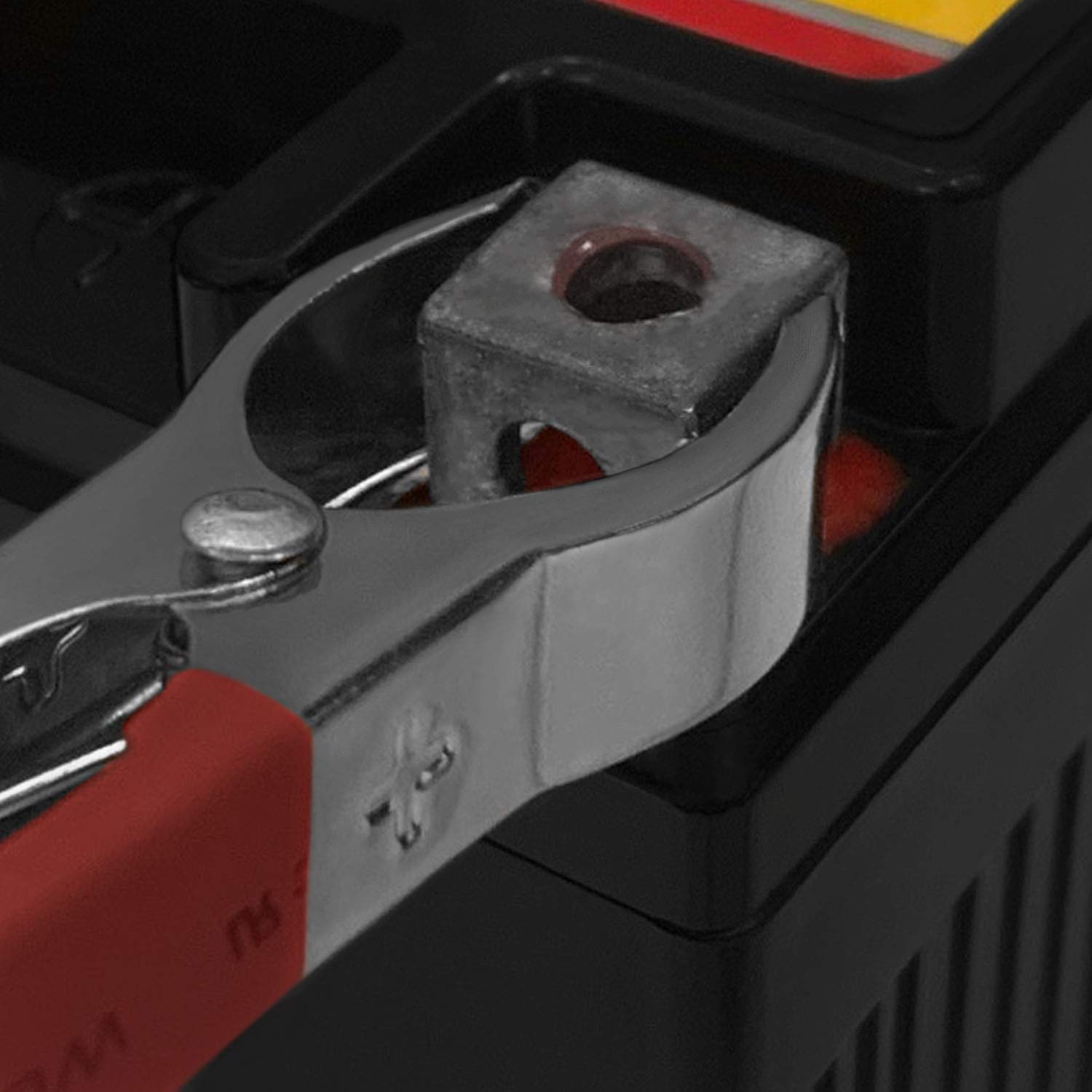 Mighty Max YTX4L-BS 12V Battery with 1A Charger - Compatible with ETon, Kasea, Qianjiang Scooters & ATVs - Perfect for Replacement & Maintenance