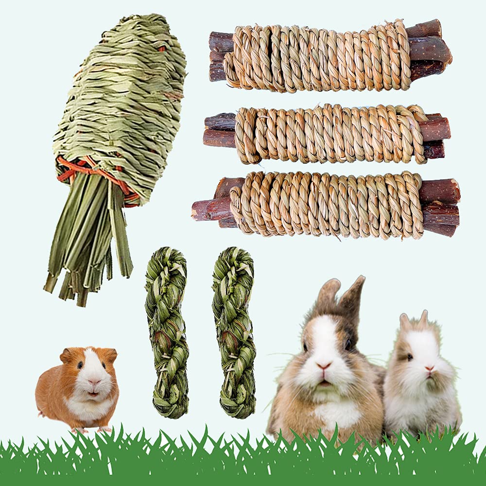Organic Handmade Grass Chew Toys for Rabbits - Natural Apple Sticks & Timothy Hay Sticks for Bunny, Guinea Pig & Hamster Dental Health | Safe Holiday Chew Toys for Small Pets | Perfect for Cage Enrichment & Teeth Grinding