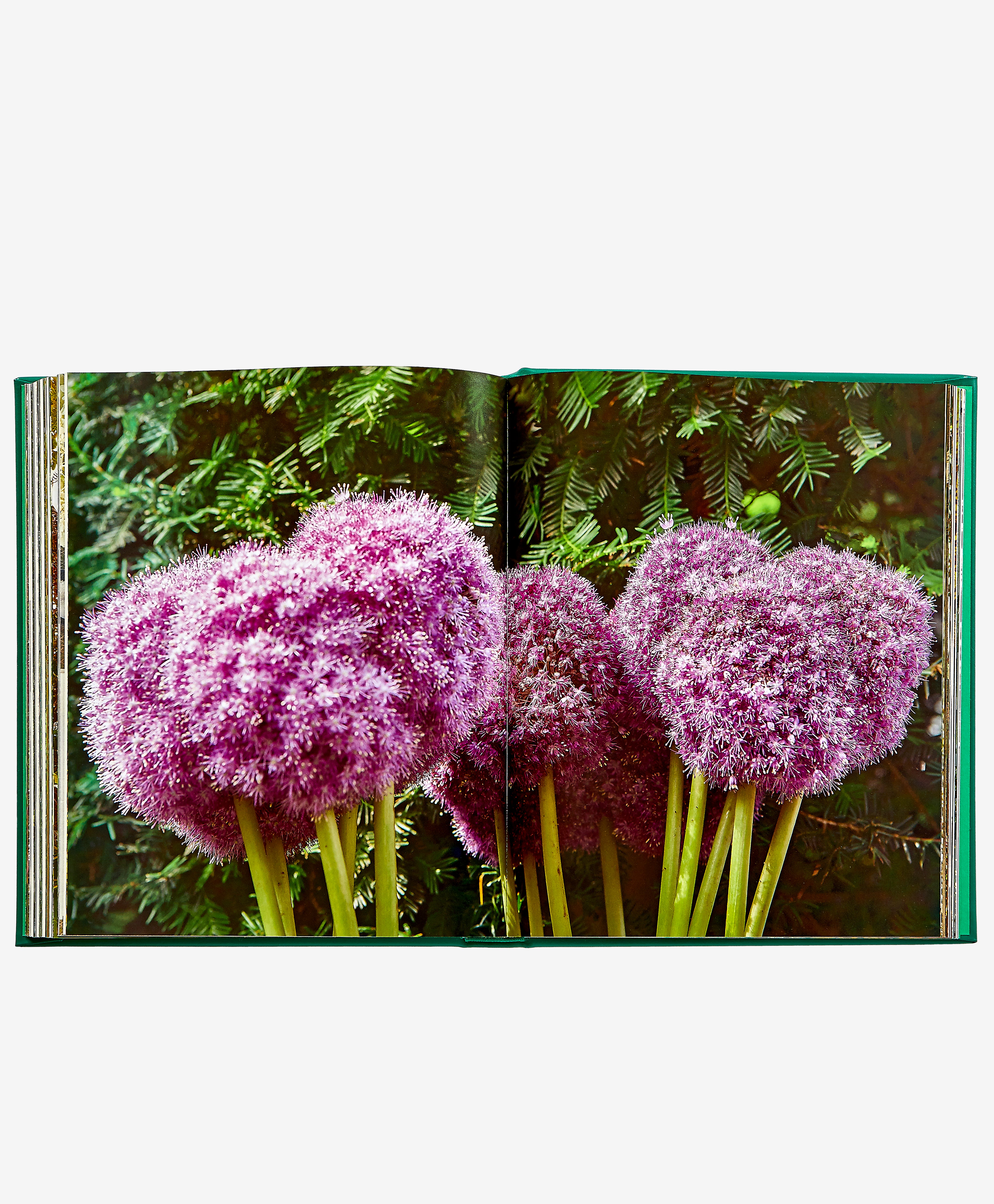 Bunny Williams: Life in the Garden - Inspiring Outdoor Living & Garden Design Ideas for Home Decor Enthusiasts | Perfect for Backyard Makeovers, Patio Decor & Landscape Inspiration
