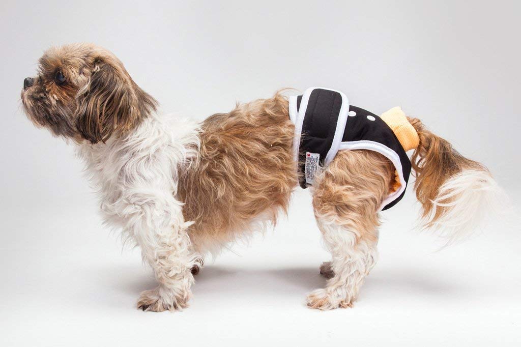 Washable Male Dog Diaper - Premium Reusable & Waterproof Dog Diapers for Small Male Dogs | Black Size S | Perfect for House Training, Incontinence & Travel