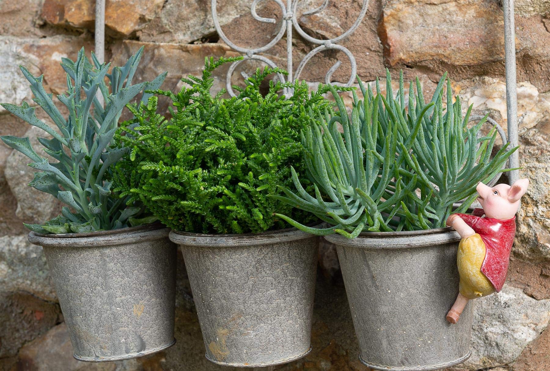 Pigling Bland Pot Buddy - Licensed Beatrix Potter Ceramic Plant Pot Hanger for Indoor & Outdoor Gardens | Perfect for Hanging Flower Pots, Herb Planters, and Succulent Displays