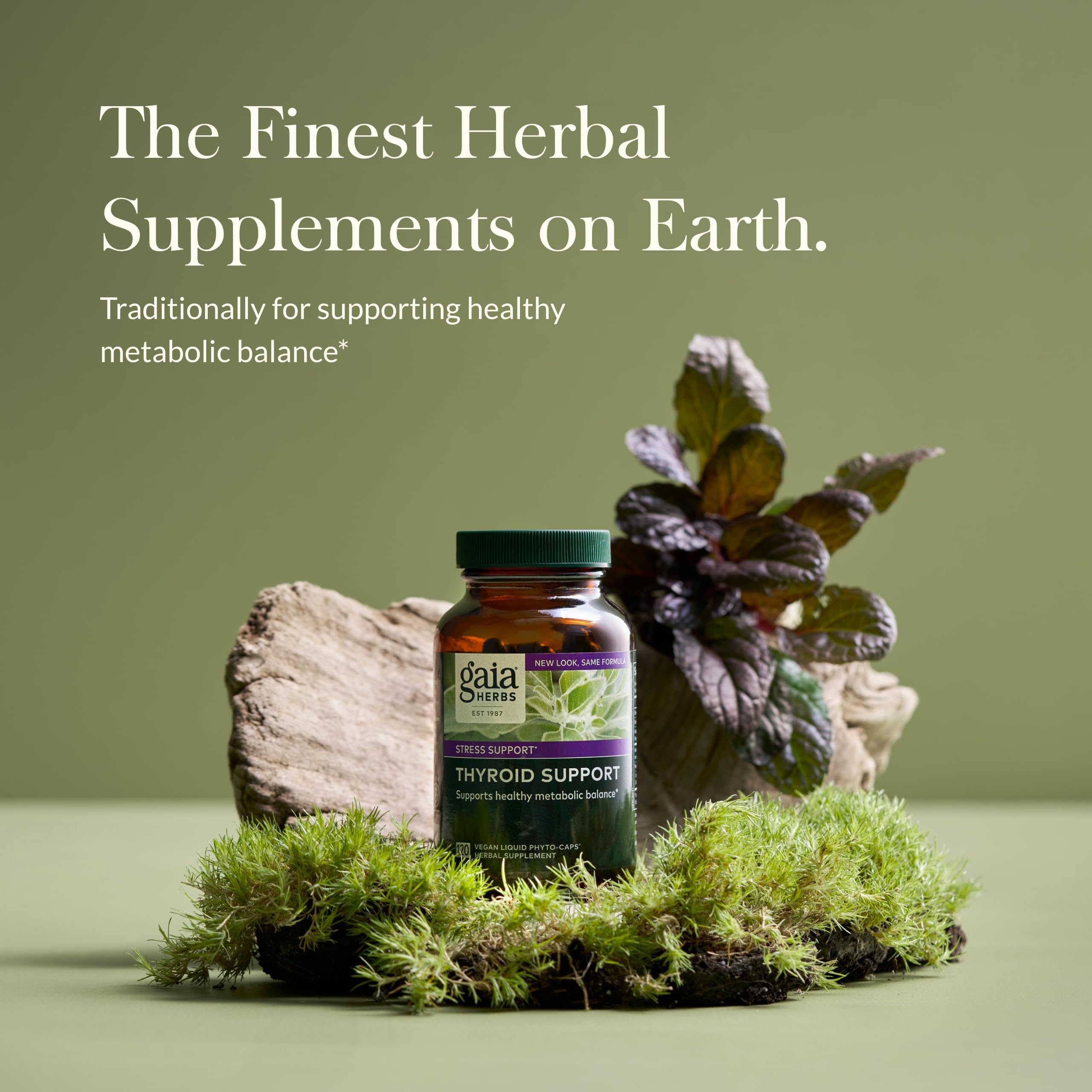 Gaia Herbs Thyroid Support Supplement with Ashwagandha, Kelp & Schisandra - Vegan Liquid Phyto-Capsules for Metabolic Balance & Wellness - 120 Count (40-Day Supply) - Supports Energy, Focus & Healthy Thyroid Function for Busy Professionals & Active Lifestyles