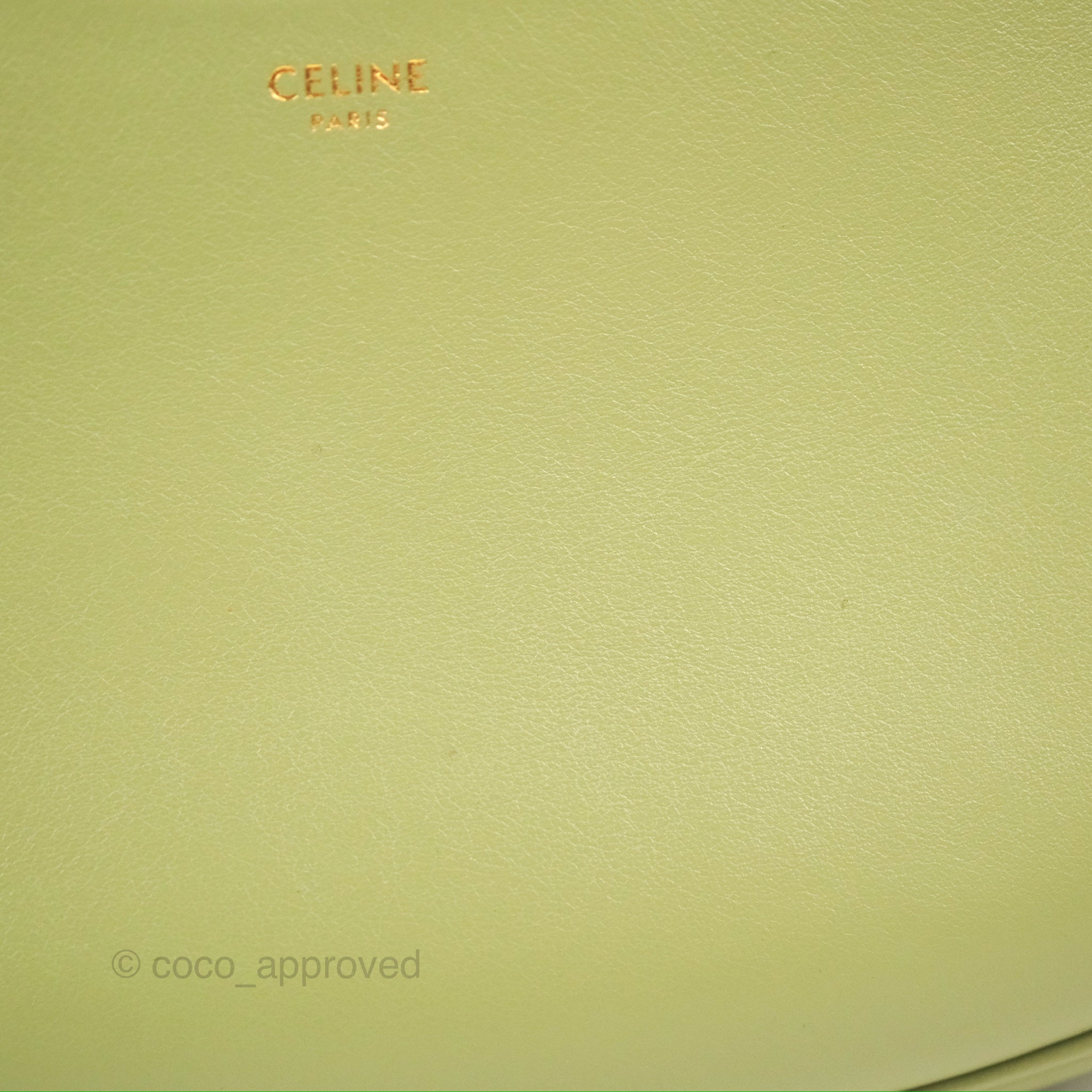 Celine Ava Bag in Avocado Green Calfskin Leather - Stylish Crossbody Purse for Women, Perfect for Everyday Use, Work & Travel