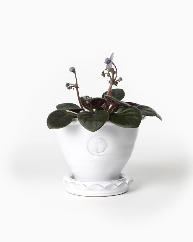 Kruka Sturehof Adelcrantz 11cm White Ceramic Flower Pot - Perfect for Indoor Plants, Succulents, and Home Decor