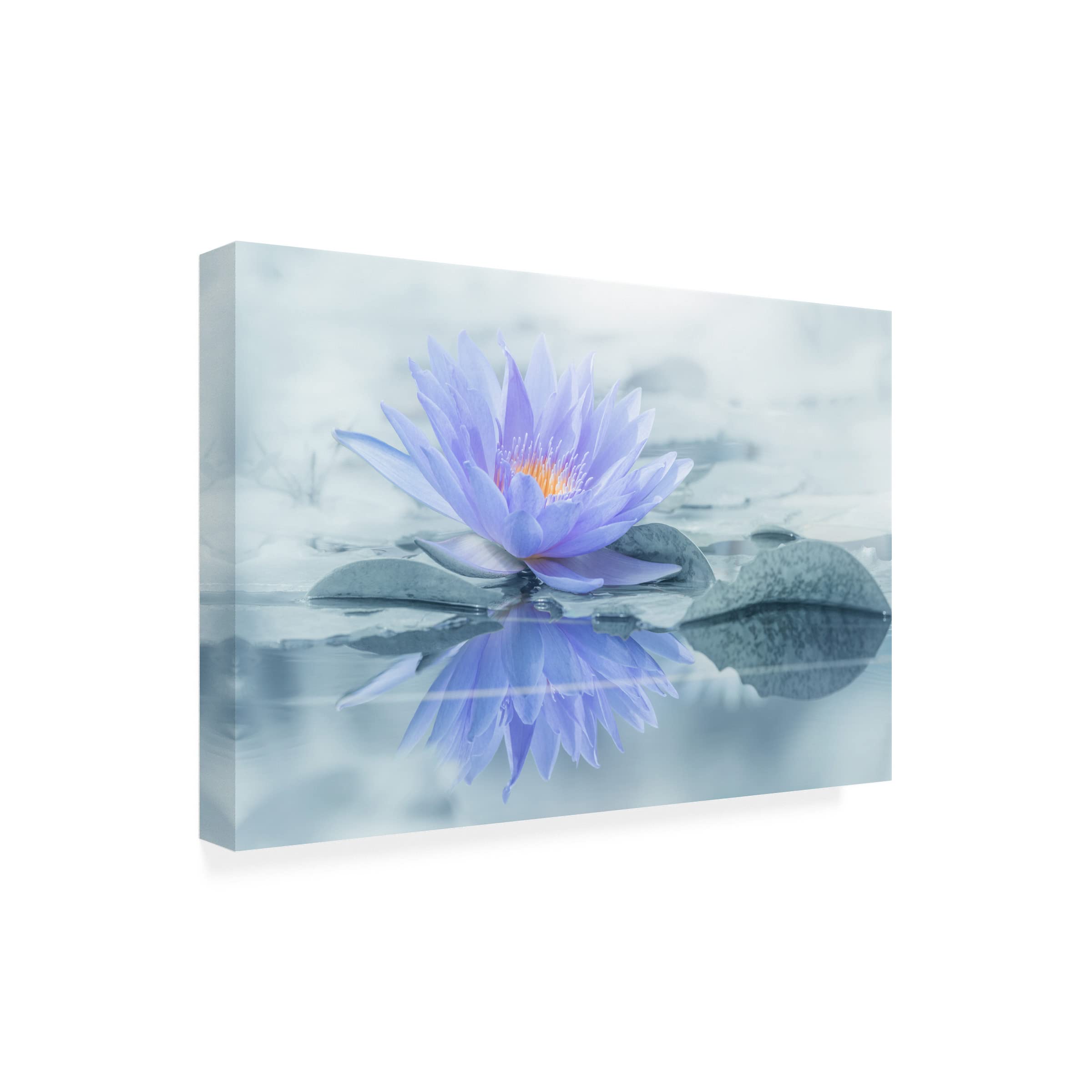 Takashi Suzuki 'Reflection' Canvas Wall Art Print - Modern Abstract Painting for Living Room, Bedroom & Office Decor