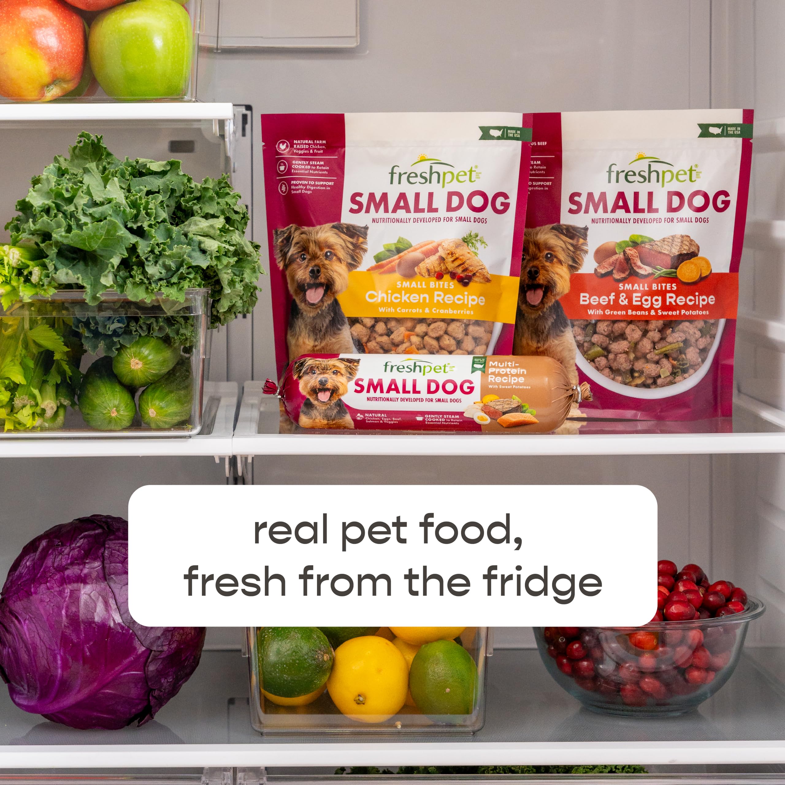Freshpet Healthy & Natural Small Dog Food - Fresh Chicken & Turkey Roll (1 lb) | Grain-Free, Vet Recommended for Puppies & Adult Dogs | Perfect for Home Feeding & Travel Snacks