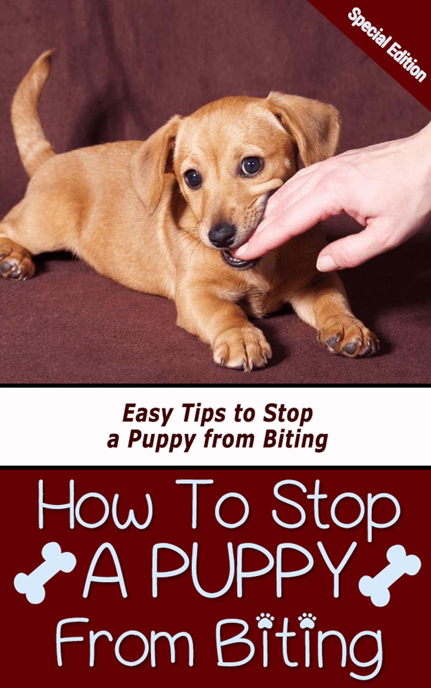 How to Stop a Puppy From Biting - 10 Effective Training Tips & Techniques for Puppy Biting Prevention | Perfect for New Dog Owners & Puppy Training at Home
