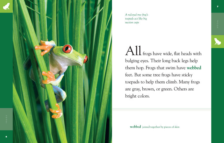 Amazing Animals (2014): Frogs - Educational Wildlife Documentary for Kids & Nature Lovers | Perfect for Classroom Learning & Family Movie Nights