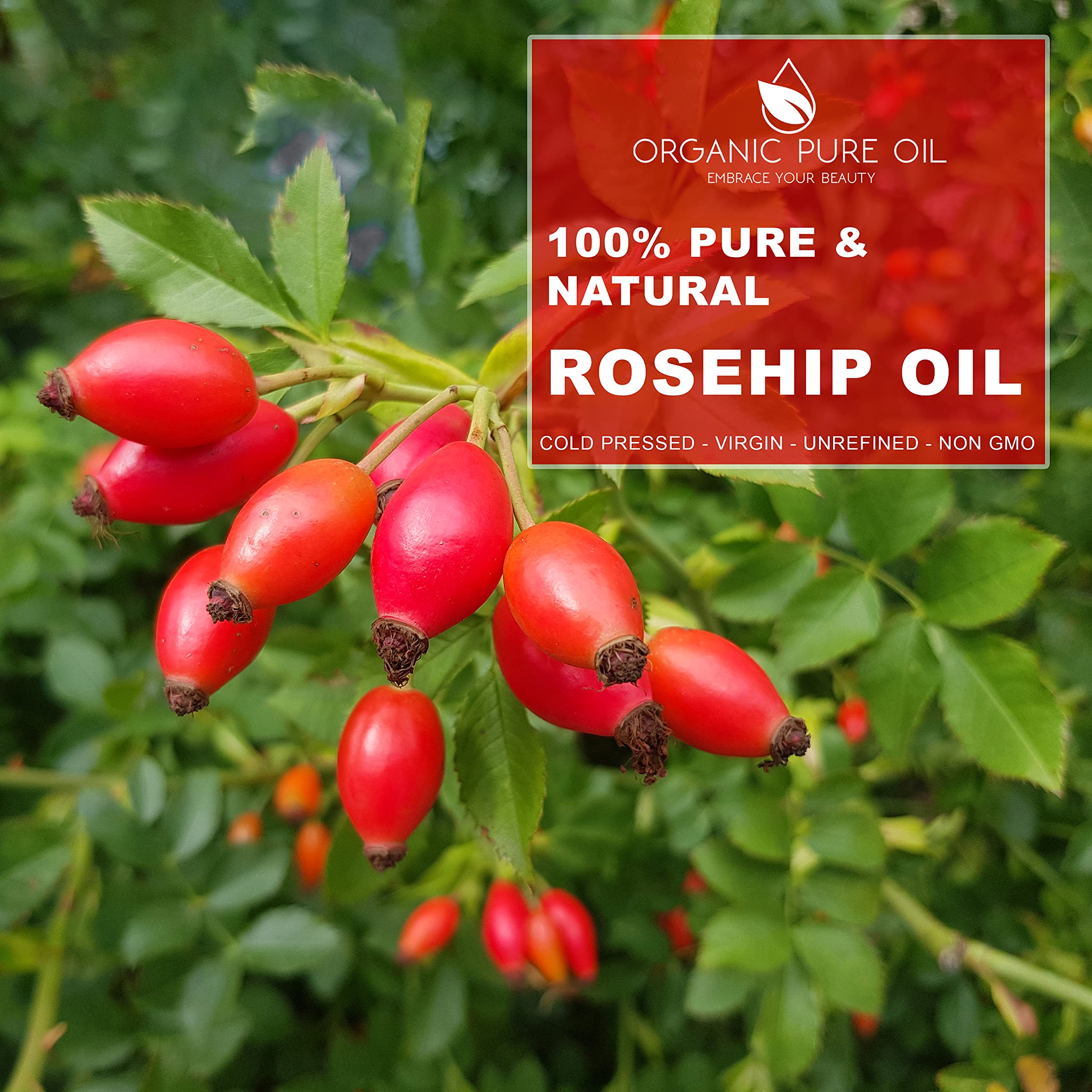 OPO Rosehip Oil - 8 oz - Pure, Unrefined, Non-GMO, Cold Pressed Vegan Carrier Oil for Face, Hair, Skin & Nails | Anti-Aging Solution for Body, Beard, Locs, Mustache & Eyelashes | Natural Skincare & Haircare | Packaging May Vary | Perfect for Daily Moisturizing & Nighttime Skin Repair