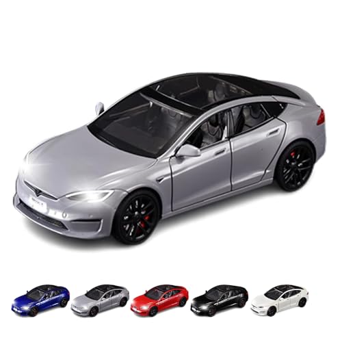 1/24 Model S -Grey