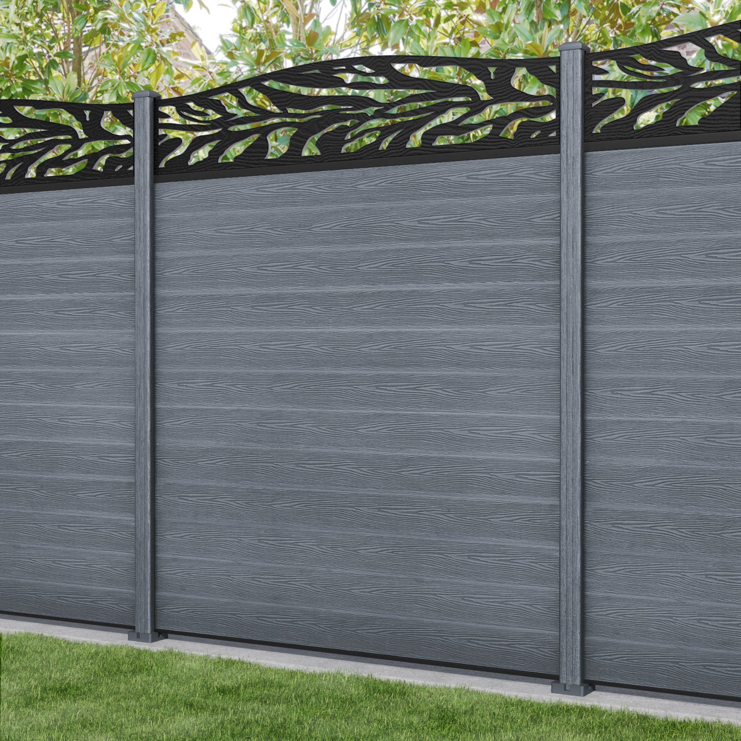 Anthracite
