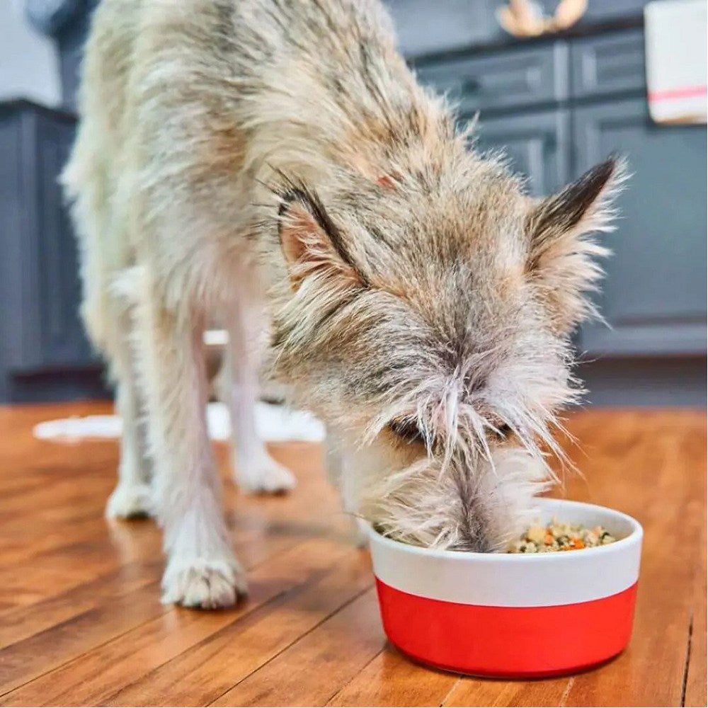 Premium Frozen FreshMade Gobblin' Good Dog Food - Grain-Free, High-Protein Natural Recipe for Puppies & Adult Dogs - Perfect for Mealtime, Training Treats & Special Occasions