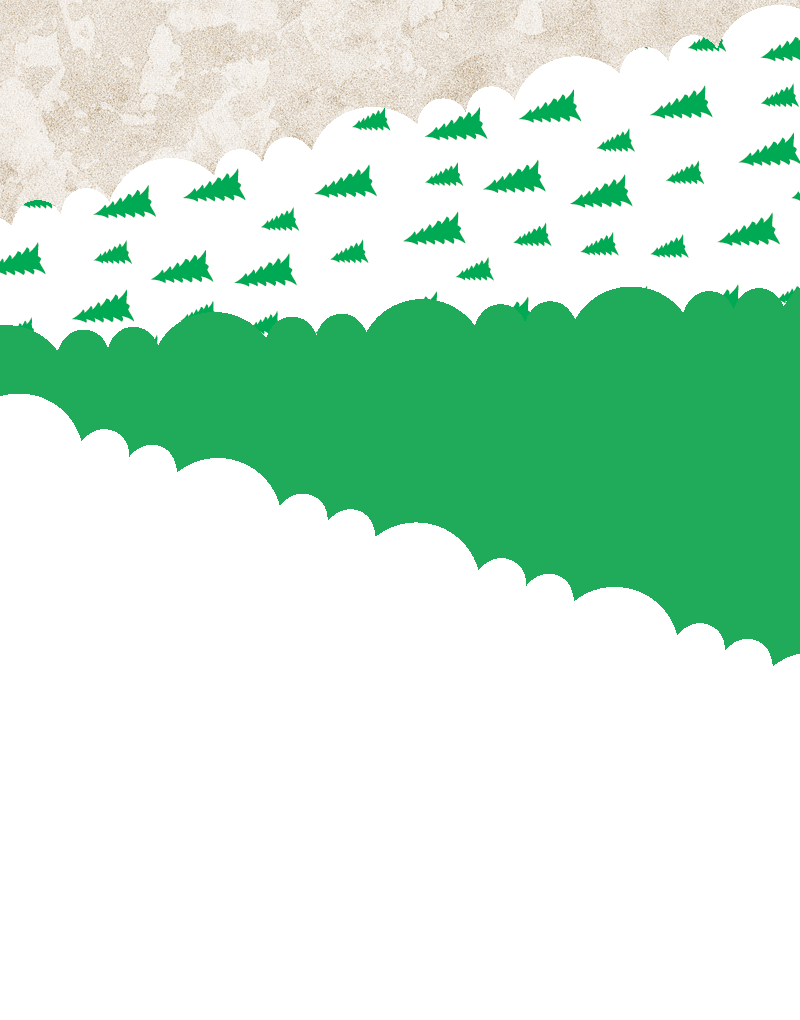 Forest Pines Scalloped Tissue Paper - Decorative Gift Wrapping, Party Decorations & Craft Supplies for Christmas, Weddings, Birthdays and DIY Projects