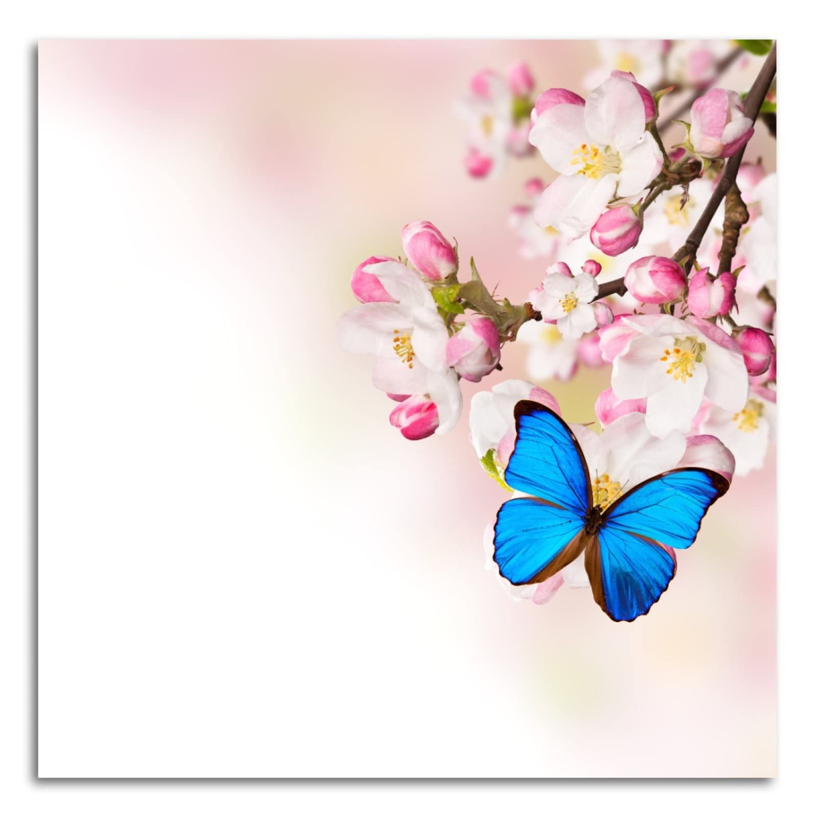 Modern Canvas Wall Art - Spring Flower & Butterfly Print for Bathroom, Kitchen & Bedroom Decor - 24x24 Inch