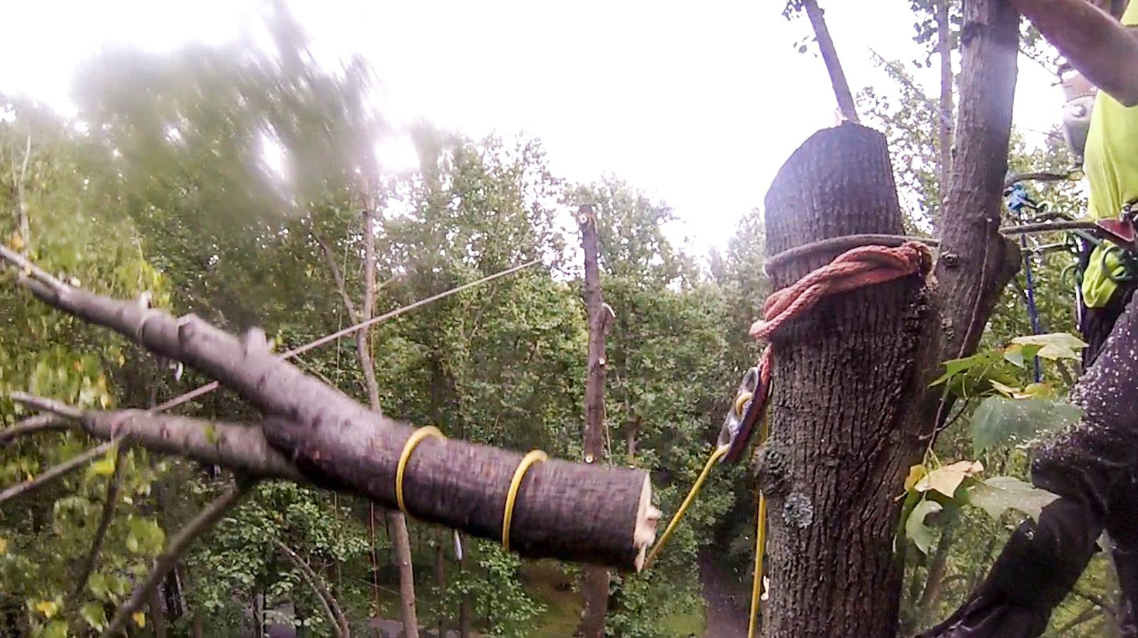 ROPE Logic 16' x 3/4