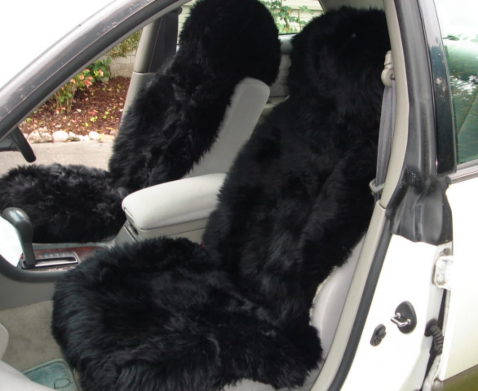 Premium New Zealand Sheepskin Car Seat Covers - Genuine Lambskin Bucket Seat Protectors (2-Pack, Black) - Universal Fit for Most Vehicles - Soft & Comfortable for Long Drives, Winter Warmth & Luxury Interior Upgrade