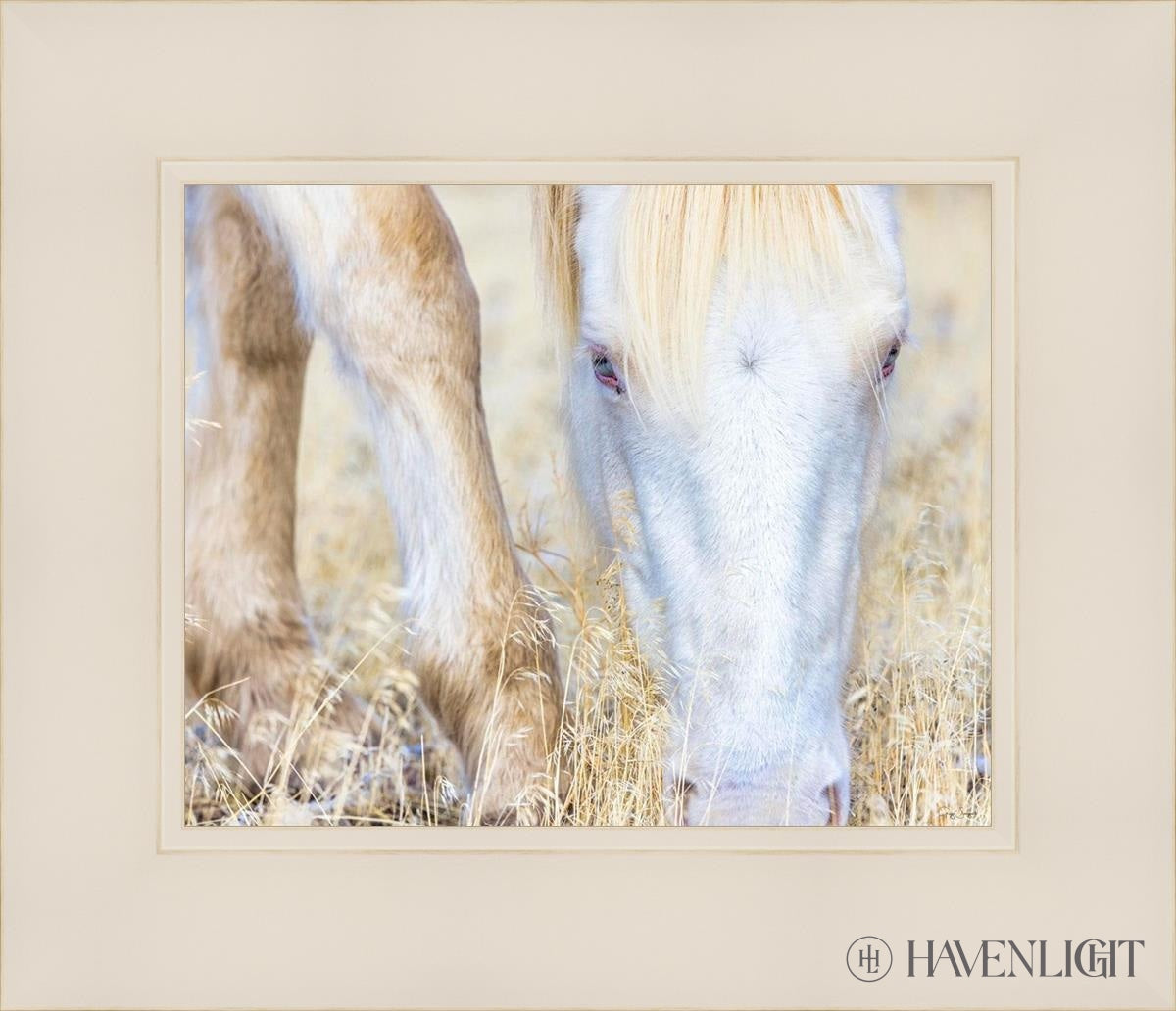 Dry Grass by Greg Sargent - Premium Handcrafted Home Decor for Rustic & Farmhouse Style - Perfect for Wall Art, Shelf Displays & Cozy Living Room Decor